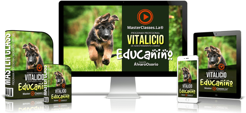Educanino-Cover-del-Curso-2019