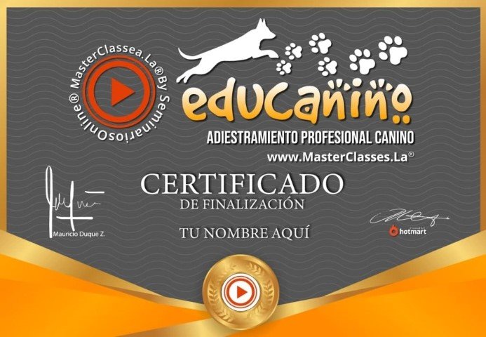 ADIESTRAMIENTO CANINO